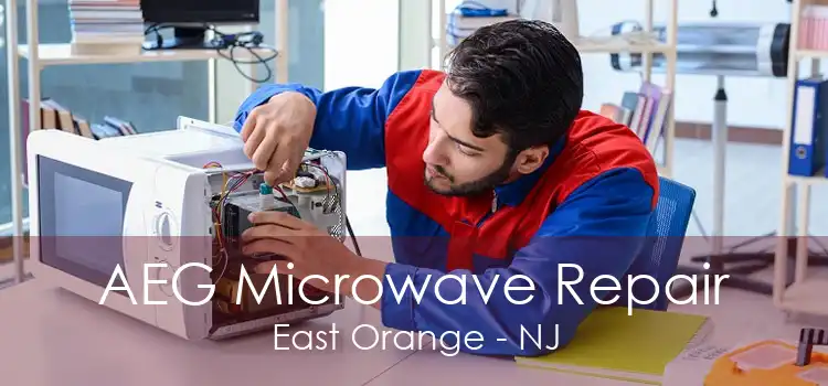 AEG Microwave Repair East Orange - NJ