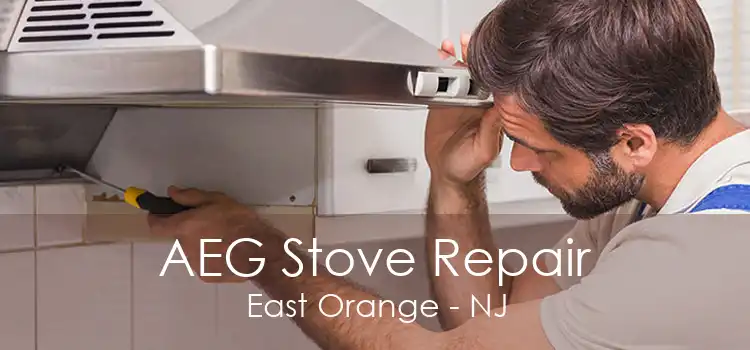 AEG Stove Repair East Orange - NJ