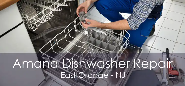 Amana Dishwasher Repair East Orange - NJ