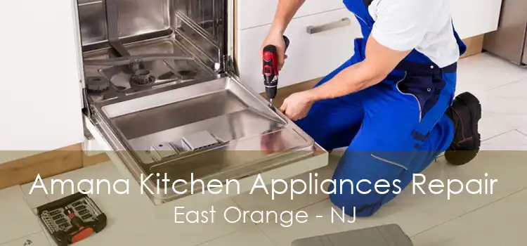 Amana Kitchen Appliances Repair East Orange - NJ