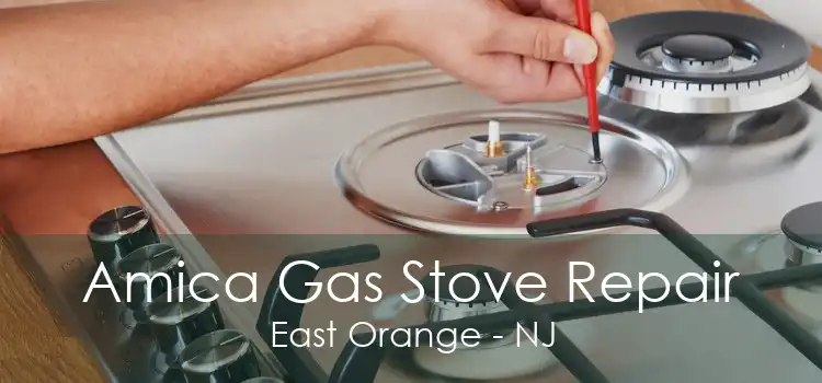 Amica Gas Stove Repair East Orange - NJ