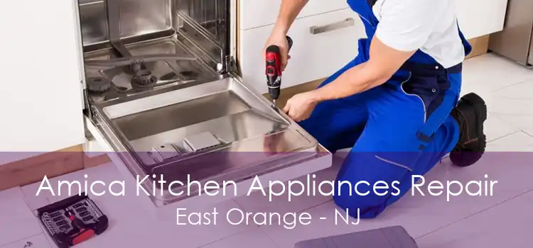 Amica Kitchen Appliances Repair East Orange - NJ