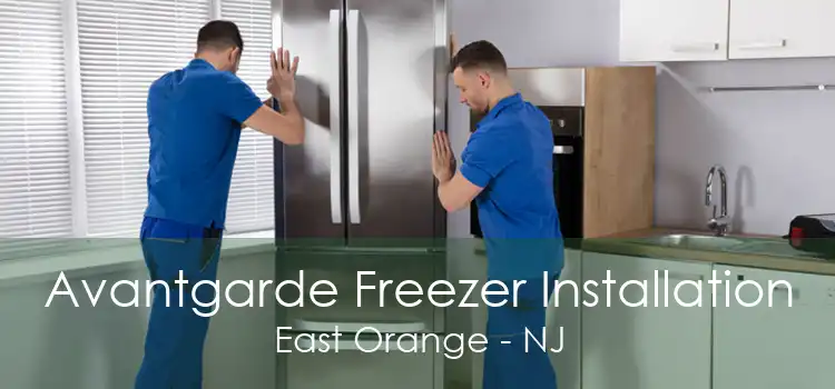 Avantgarde Freezer Installation East Orange - NJ
