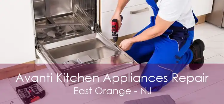 Avanti Kitchen Appliances Repair East Orange - NJ