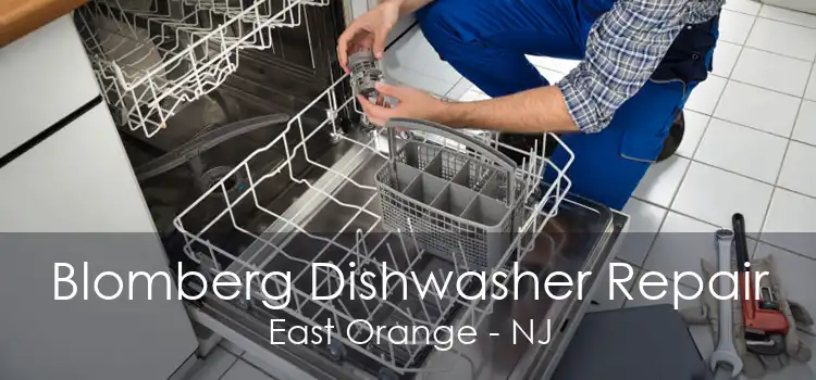 Blomberg Dishwasher Repair East Orange - NJ
