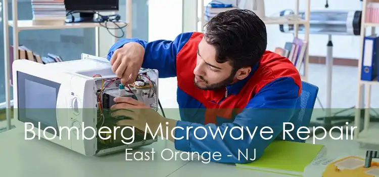 Blomberg Microwave Repair East Orange - NJ