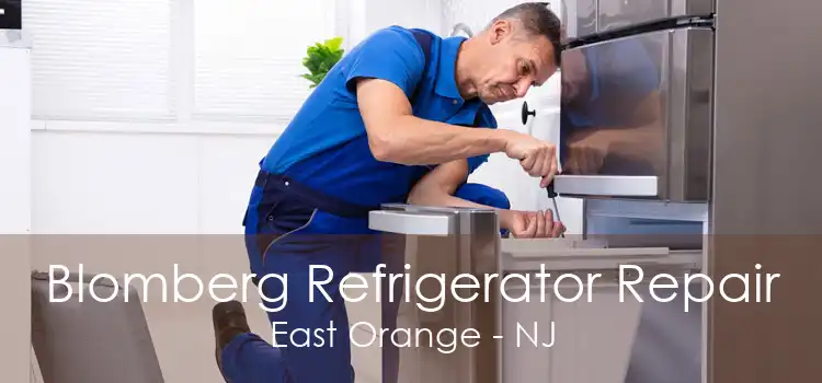Blomberg Refrigerator Repair East Orange - NJ