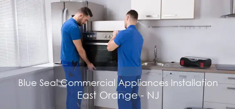 Blue Seal Commercial Appliances Installation East Orange - NJ