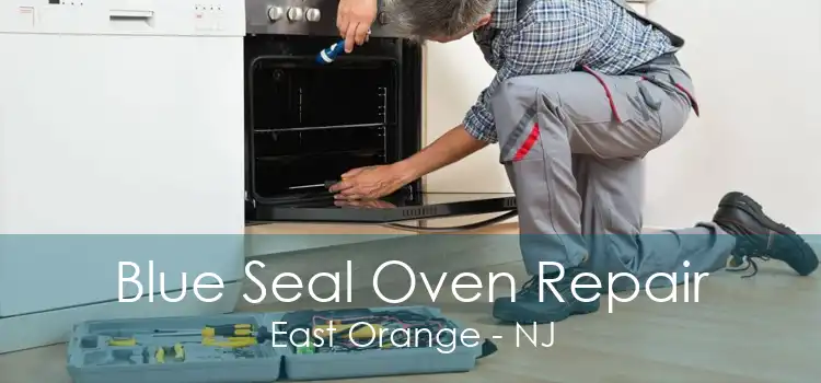 Blue Seal Oven Repair East Orange - NJ