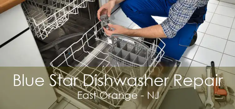 Blue Star Dishwasher Repair East Orange - NJ