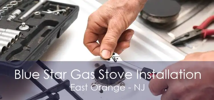 Blue Star Gas Stove Installation East Orange - NJ