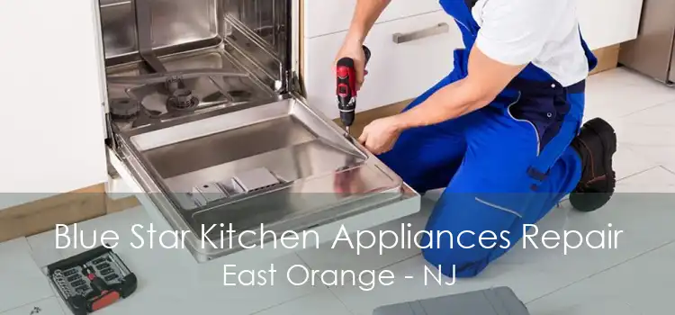 Blue Star Kitchen Appliances Repair East Orange - NJ