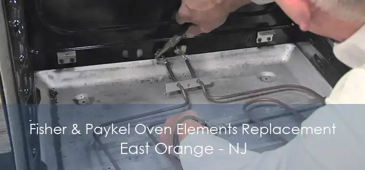 Fisher & Paykel Oven Elements Replacement East Orange - NJ