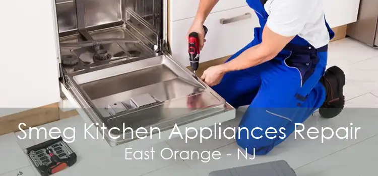 Smeg Kitchen Appliances Repair East Orange - NJ