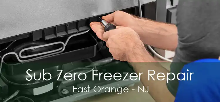 Sub Zero Freezer Repair East Orange - NJ