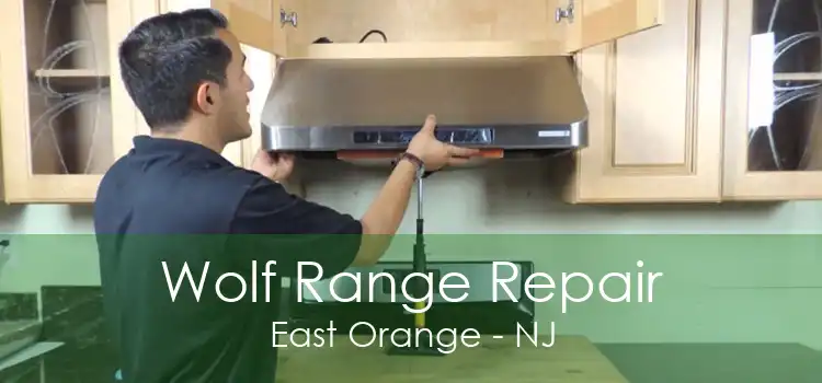 Wolf Range Repair East Orange - NJ